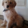 PaulySS