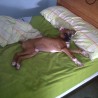 Dieguito15