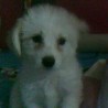 Yahiry