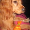Sarita2011