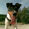 chuster02