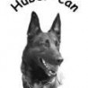 Hubercan
