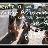 Pilarypancho