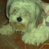Allisa