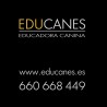 educanes