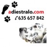 Adiestralo
