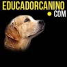 OscarEducadorCanino