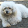 Luisreyes