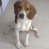 Soniaoo