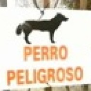 Razas de perros peligrosos (potencialmente)