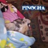 Pinocha