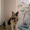 Noev28