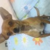 Takyto
