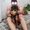 wildto
