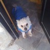 BETTYBAR