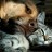 Perros y Gatos
