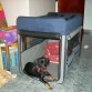 En su cuarto privado