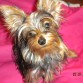 CON ESTA CARITA ME COMPRO A TODOS!!!