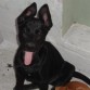 Mi negrita linda