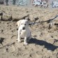Su primer día de playa. 