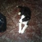 con 2 meses