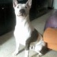 fue el primer dia  en casa despues de la adopcion