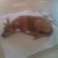 Que tranquilitaa ! jaja 
