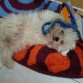 jugando