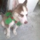 quedandose dormido xD