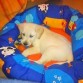 Rocky llega a casa!!!
