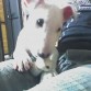 LUNA DE 4 MESES...