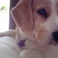 Loly te extraño muuuuuuucho!! :(