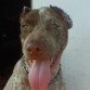 recien operado de sus orejas..!!!
;)..BAMBAM..!!!!!!!