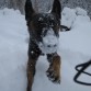 La Betty en la nieve 