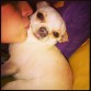 Taaaaaaantos besos!!!