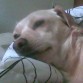 kiara en la cama
