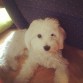 Lucas :)