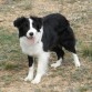 Luna con 6 meses