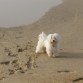 En la playa ¡me encanta!