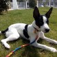 Kiara tomando el sol en el parque con 3 meses