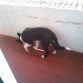 En el balcon