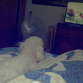 viendo tv
