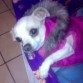 La hermosa y adorable Roxxy!! so sweet