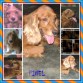 mi bebe hermoso 