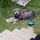 wilson tomando el sol !!!