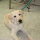 sonny a los 6 meses
