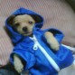 listo para salir en un dia muy frio