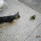 SOCORRO NO ME GUSTA ESA PLANTA!!!