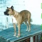 Mi niña ....TE EXTRAÑO (K)(L)