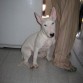 Con 4 meses y medio.